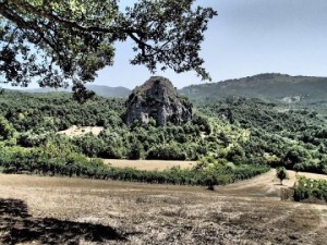 montearioso1